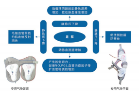 航天生物脈沖式動(dòng)靜脈氣壓治療儀pzm-1,pzm-2,pzm-3